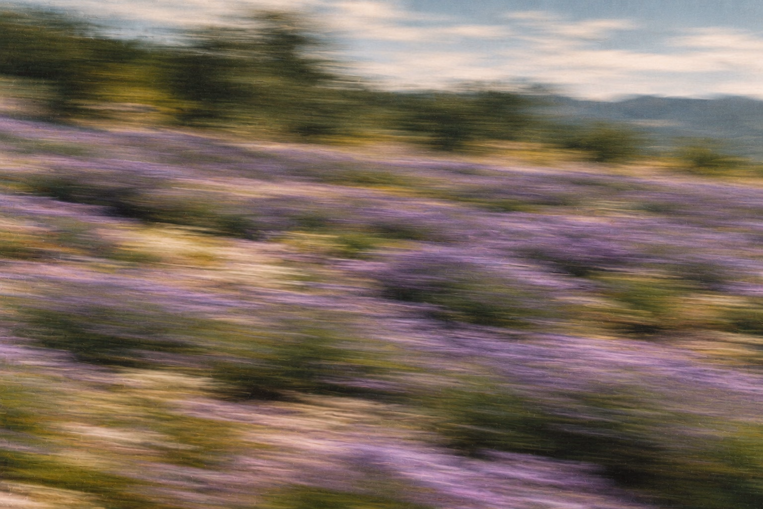 Photo abstraite, floue par le mouvement : colline couverte de fleurs violettes sous un ciel nuageux